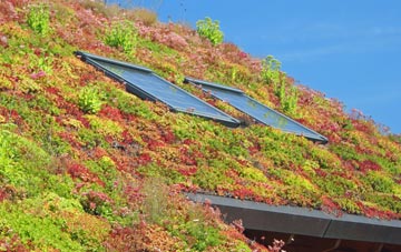 Piddington living roof systems