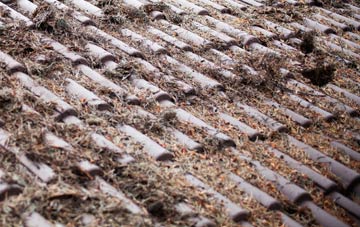 Piddington roof cleaning companies