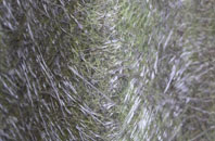 Piddington fibreglass roof work